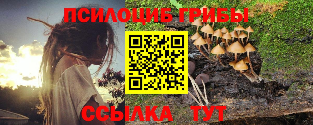 Псилоцибиновые грибы мухоморы Углич